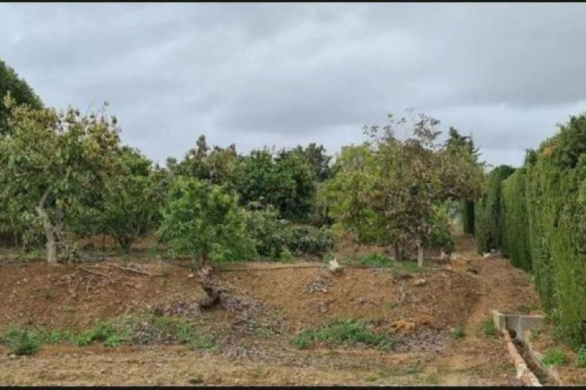 Wiederverkauf - Country house - Mijas - Campo Mijas