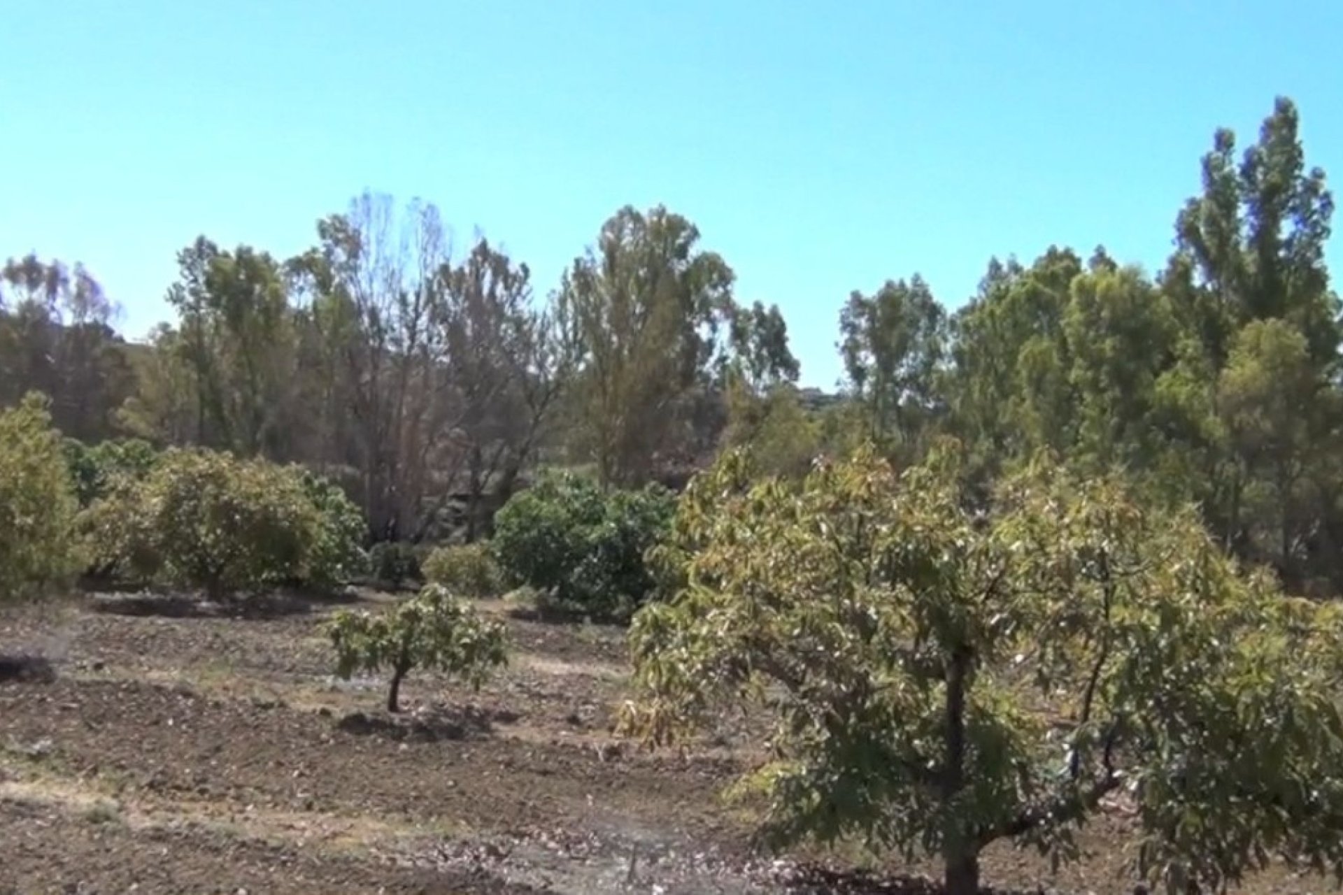 Wiederverkauf - Country house - Mijas - Entrerrios