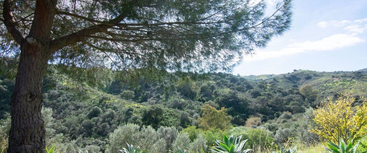 Wiederverkauf - Country house - Mijas - La Cala Golf