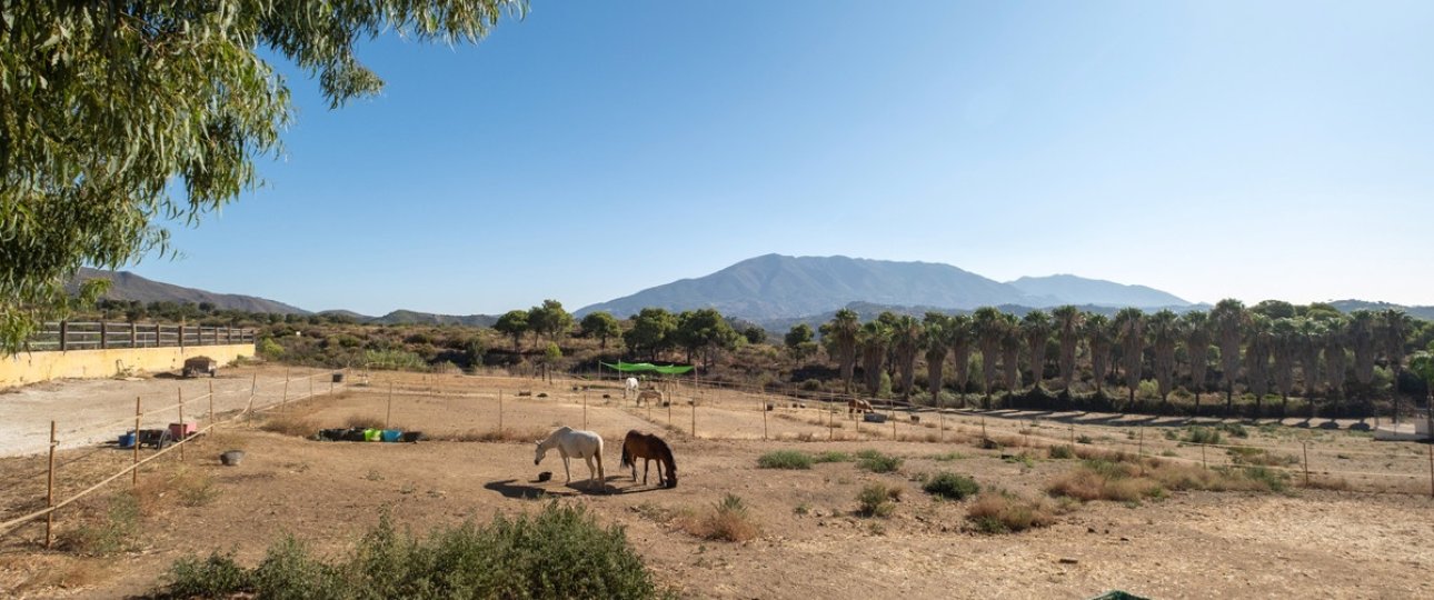 Wiederverkauf - Country house - Mijas - Mijas Costa