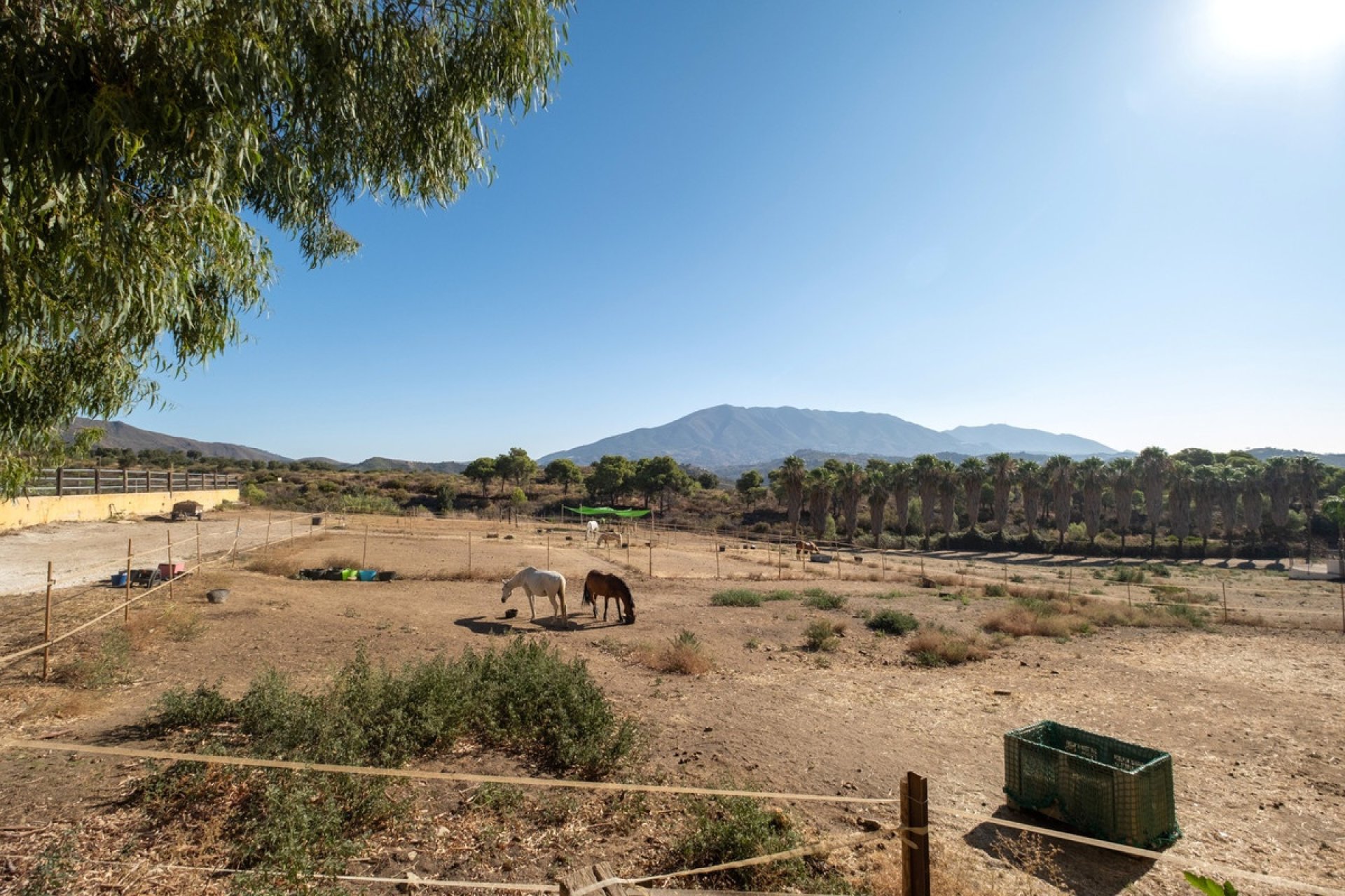 Wiederverkauf - Country house - Mijas - Mijas Costa