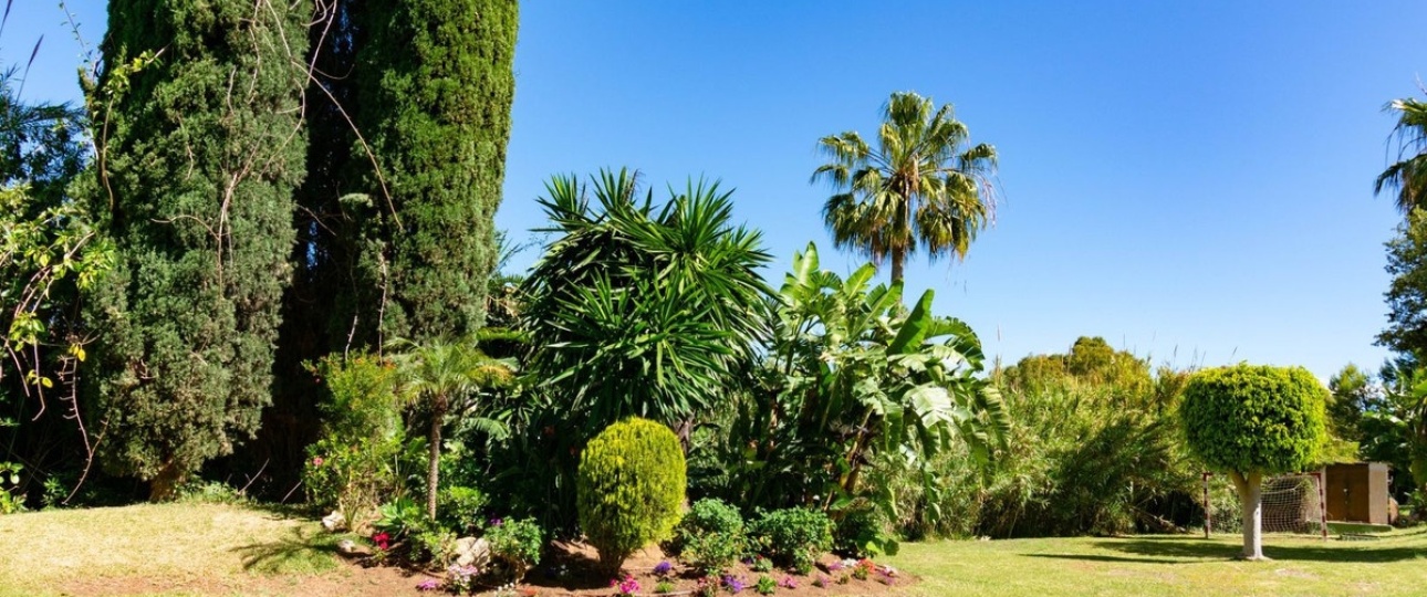 Wiederverkauf - Town house - Estepona - Estepona Centro