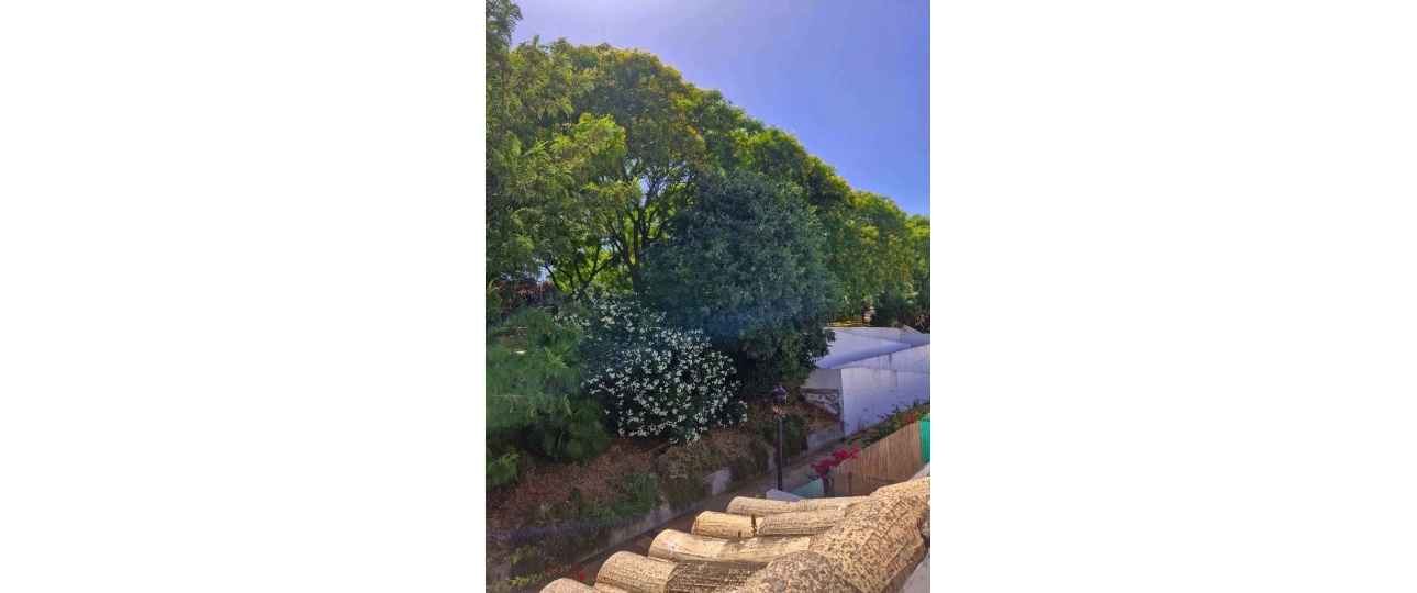 Wiederverkauf - Town house - Estepona - Estepona Centro