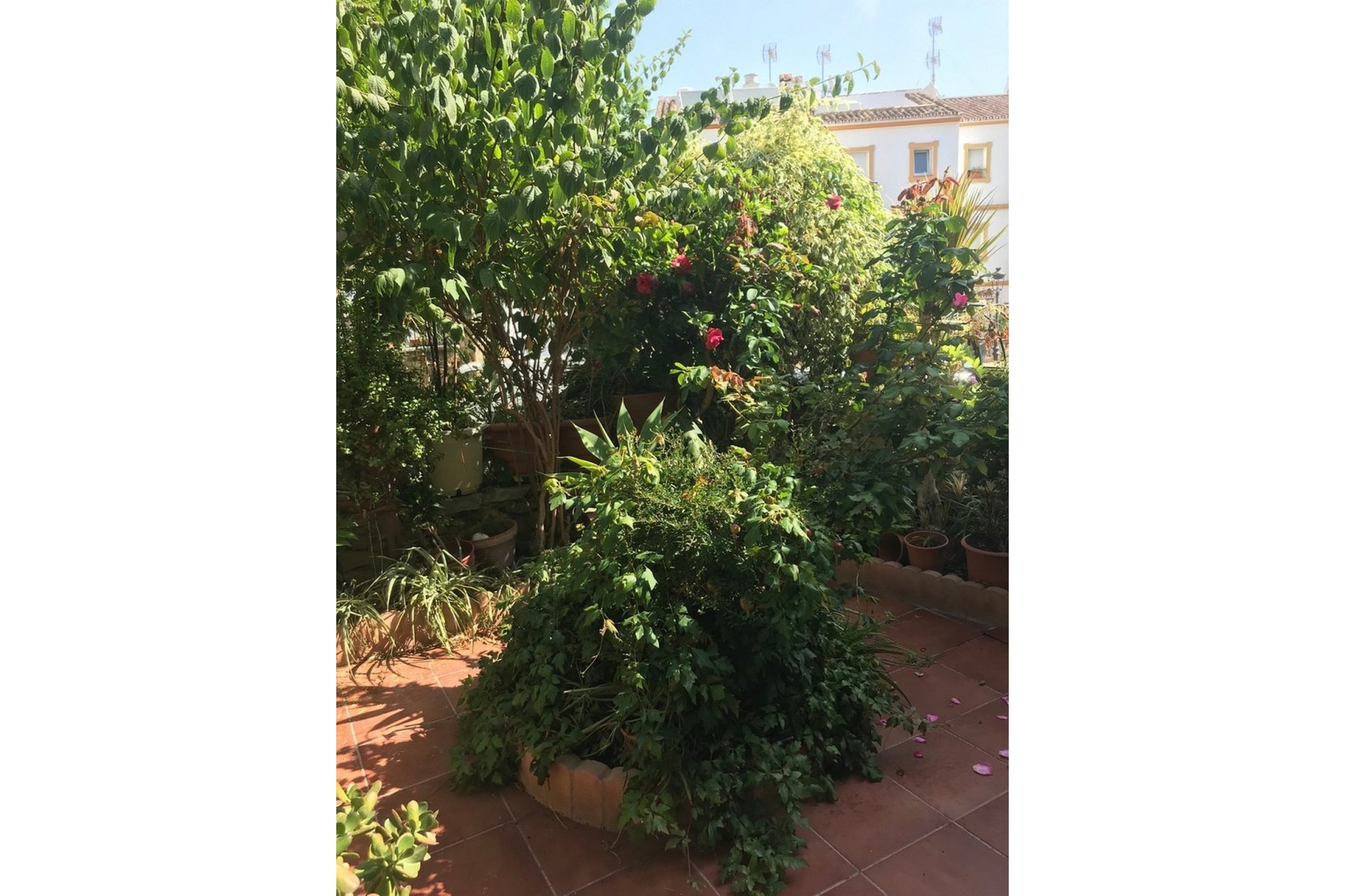 Wiederverkauf - Town house - Estepona - Estepona Centro