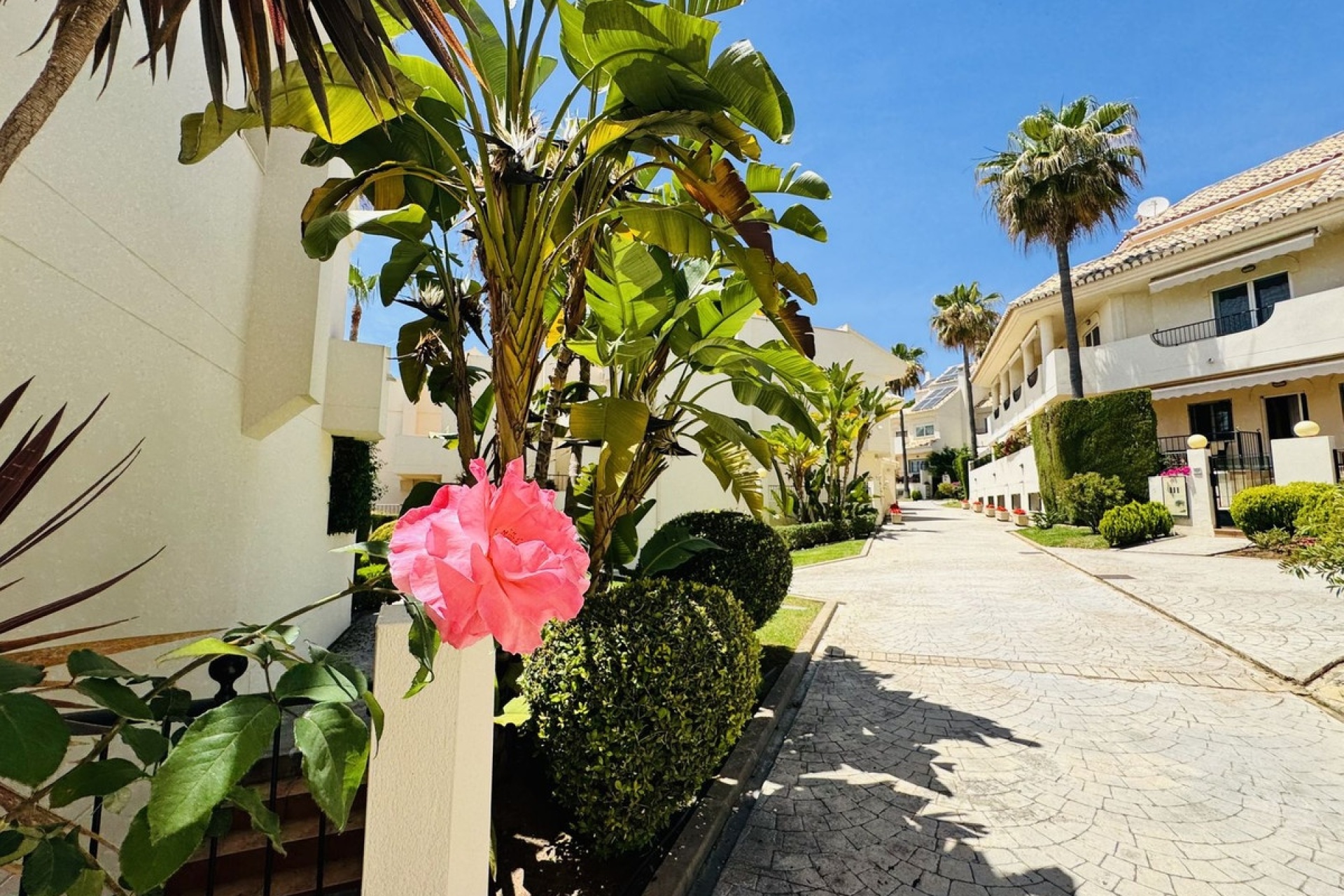 Wiederverkauf - Town house - Marbella - Costabella