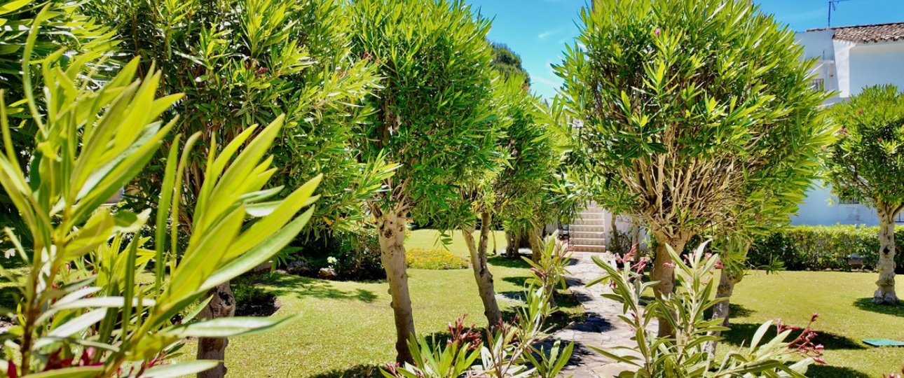 Wiederverkauf - Town house - Marbella - Elviria