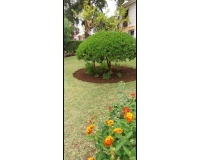 Wiederverkauf - Town house - Marbella - Elviria