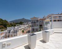 Wiederverkauf - Town house - Marbella - Nueva Andalucía