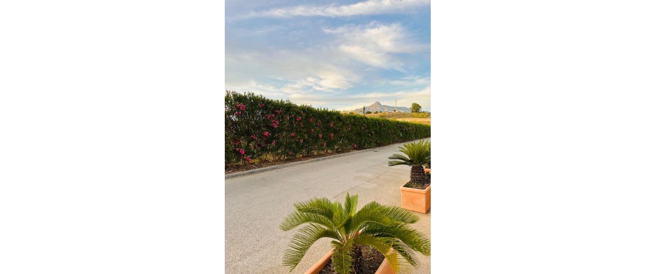 Wiederverkauf - Town house - Marbella - Nueva Andalucía