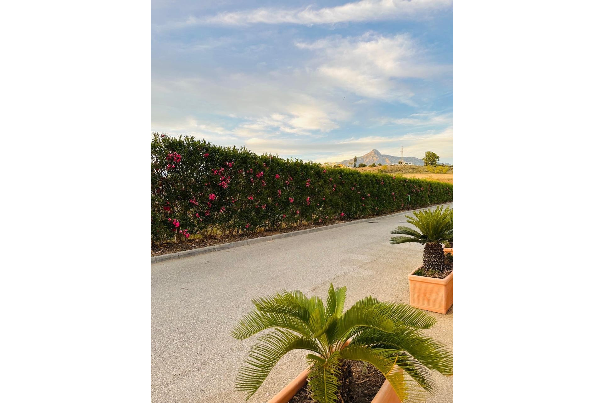 Wiederverkauf - Town house - Marbella - Nueva Andalucía