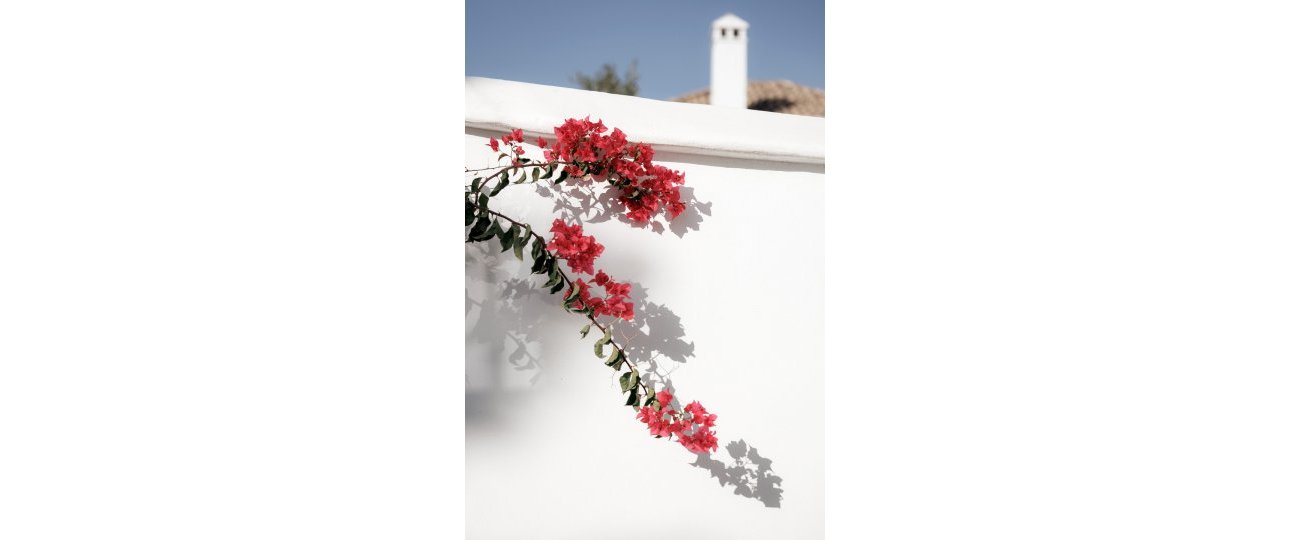 Wiederverkauf - Town house - Marbella - Nueva Andalucía
