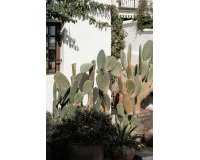 Wiederverkauf - Town house - Marbella - Nueva Andalucía