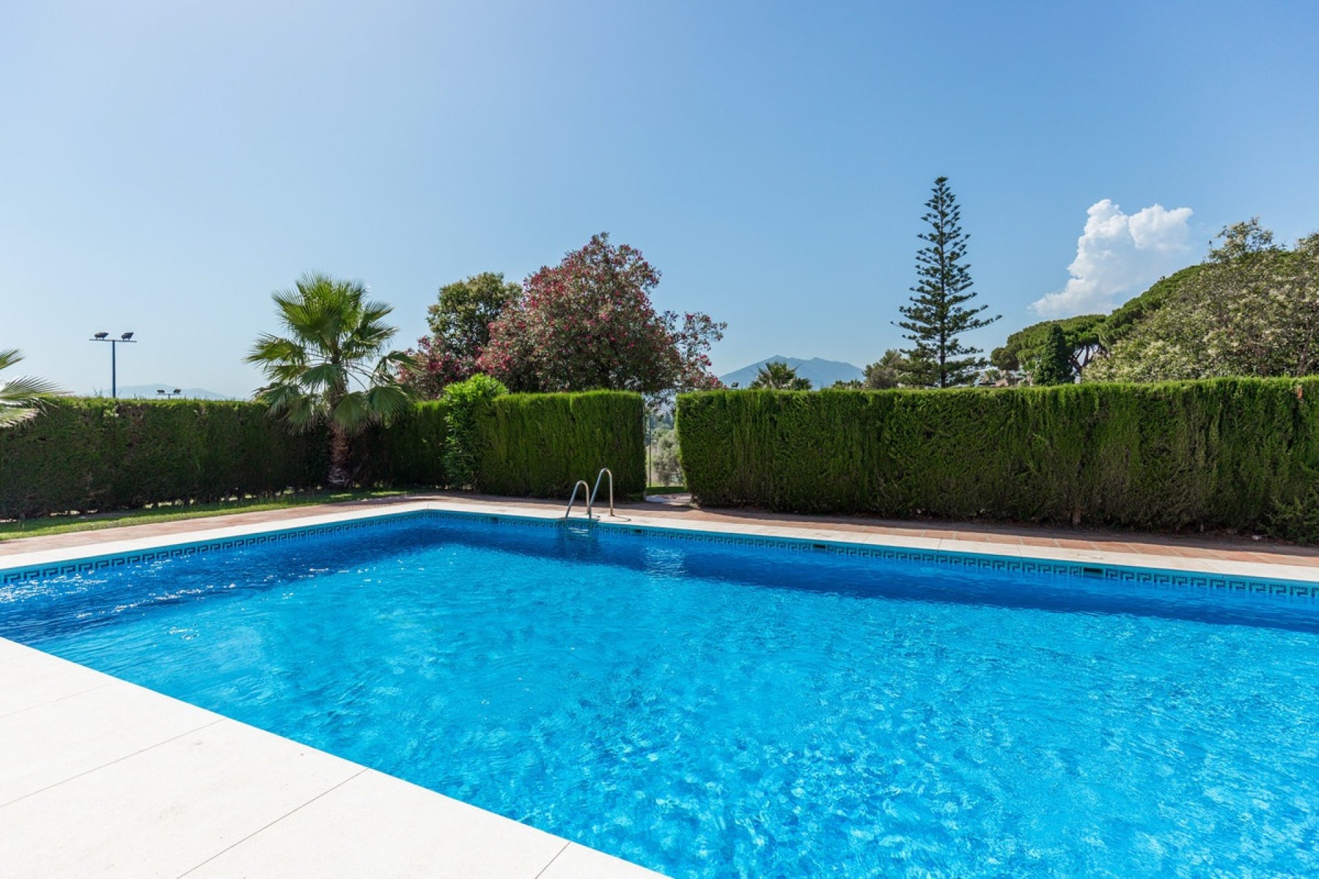 Wiederverkauf - Town house - Marbella - Nueva Andalucía
