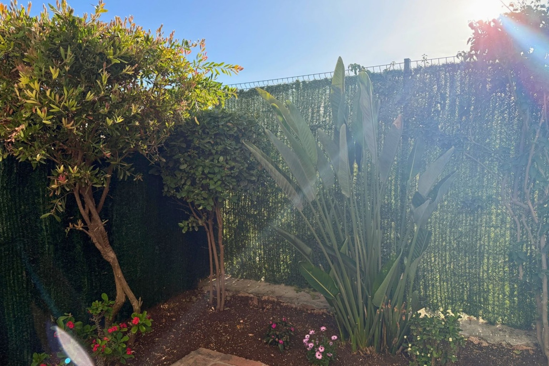 Wiederverkauf - Town house - Marbella - Nueva Andalucía