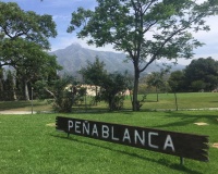 Wiederverkauf - Town house - Marbella - Nueva Andalucía