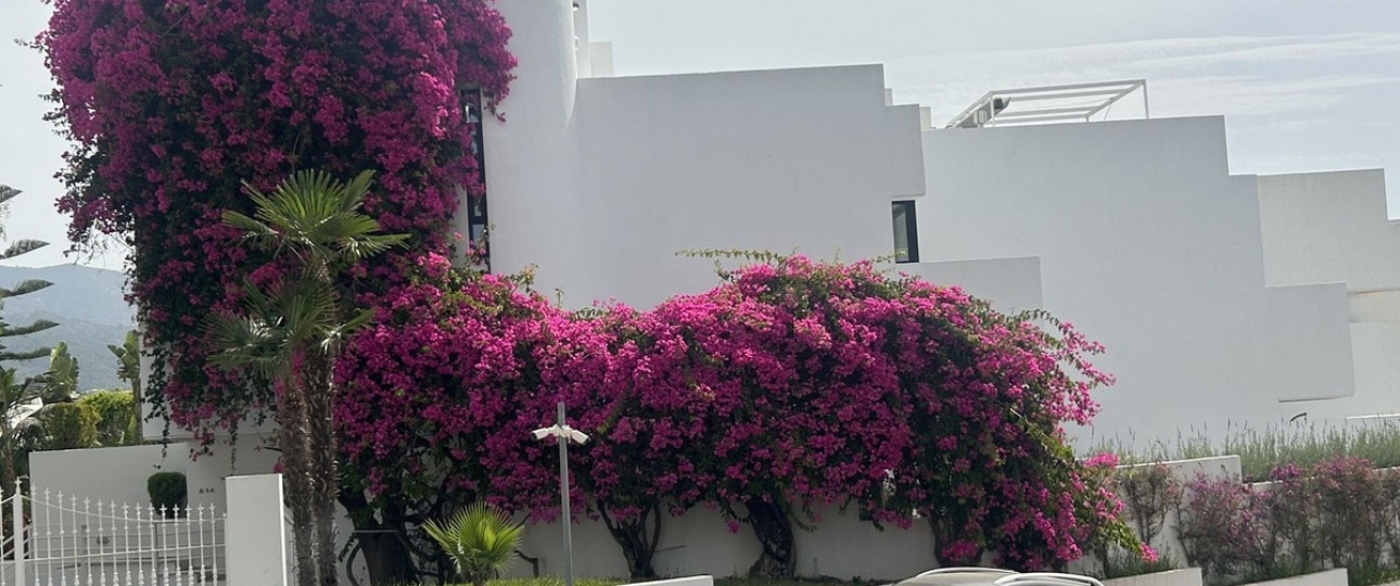 Wiederverkauf - Town house - Marbella - The Golden Mile