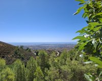 Wiederverkauf - Town house - Mijas - Mijas Centro