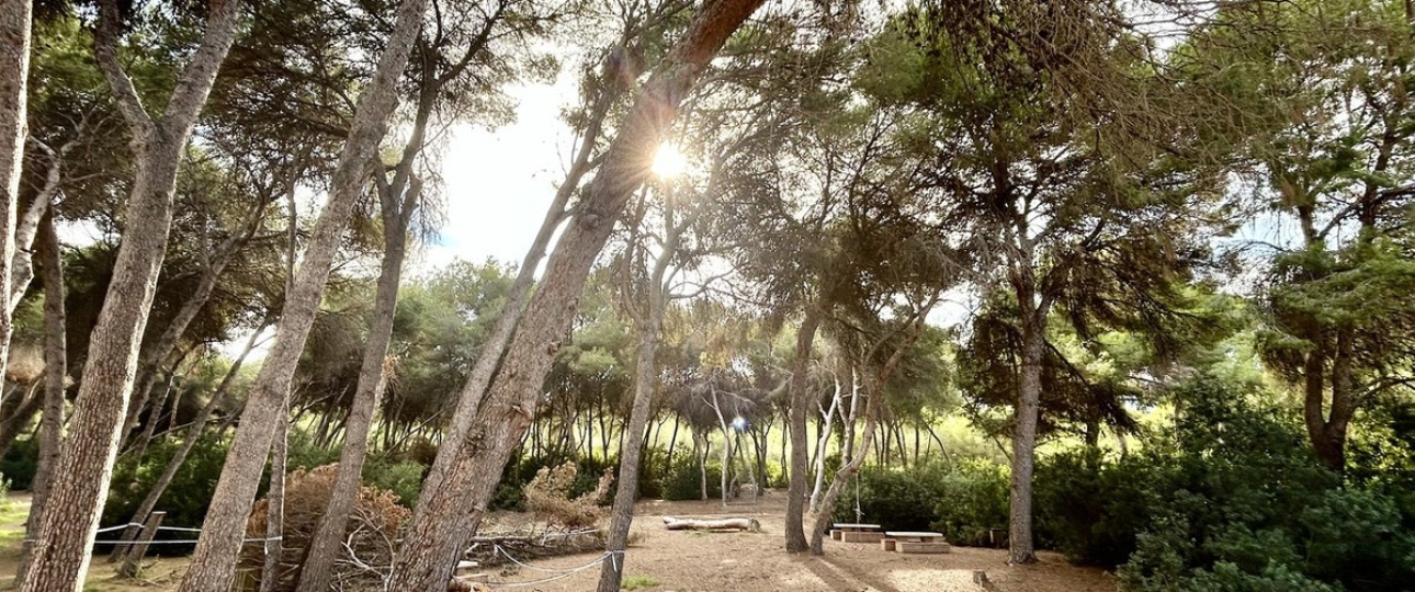 Wiederverkauf - Town house - Orihuela - Dehesa de Campoamor