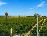 Wiederverkauf - Town house - Orihuela - Los Balcones