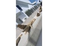 Wiederverkauf - Villa - Benidorm - Urb Entre Naranjos