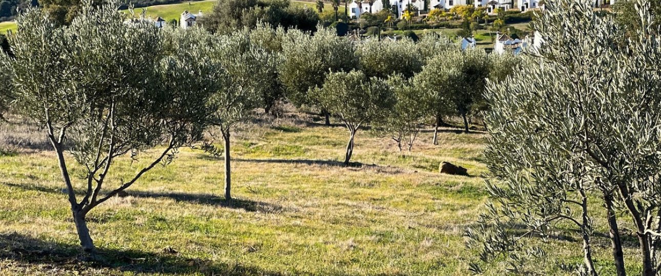 Wiederverkauf - Villa - Estepona - Estepona Centro