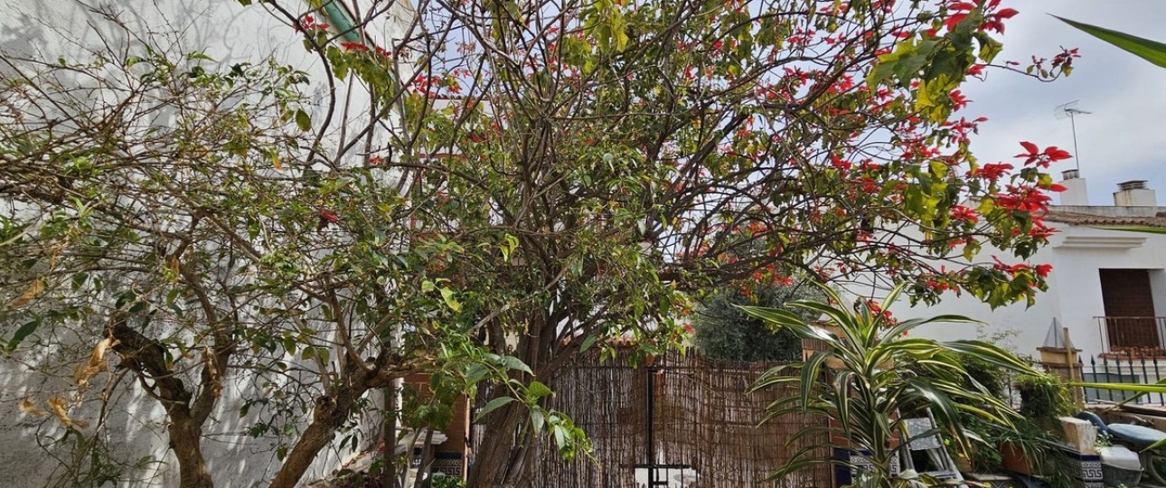 Wiederverkauf - Villa - Estepona - Estepona Centro