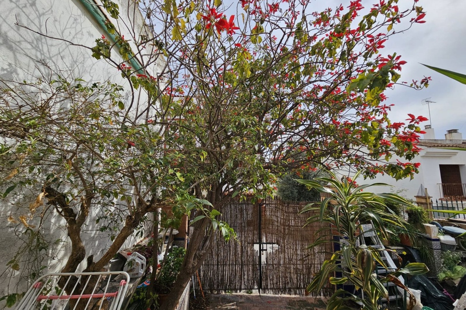 Wiederverkauf - Villa - Estepona - Estepona Centro