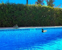 Wiederverkauf - Villa - Estepona - Estepona Centro