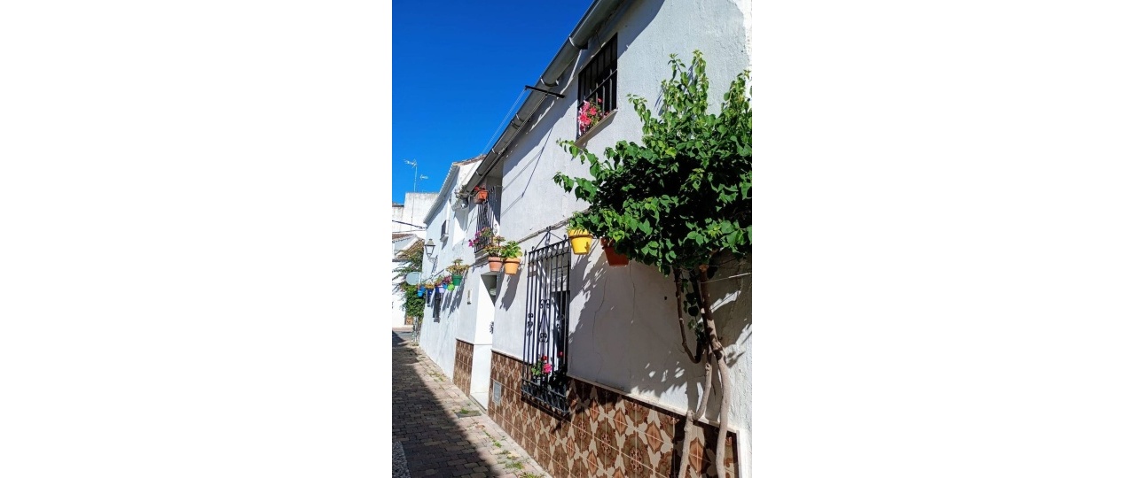 Wiederverkauf - Villa - Estepona - Estepona Centro