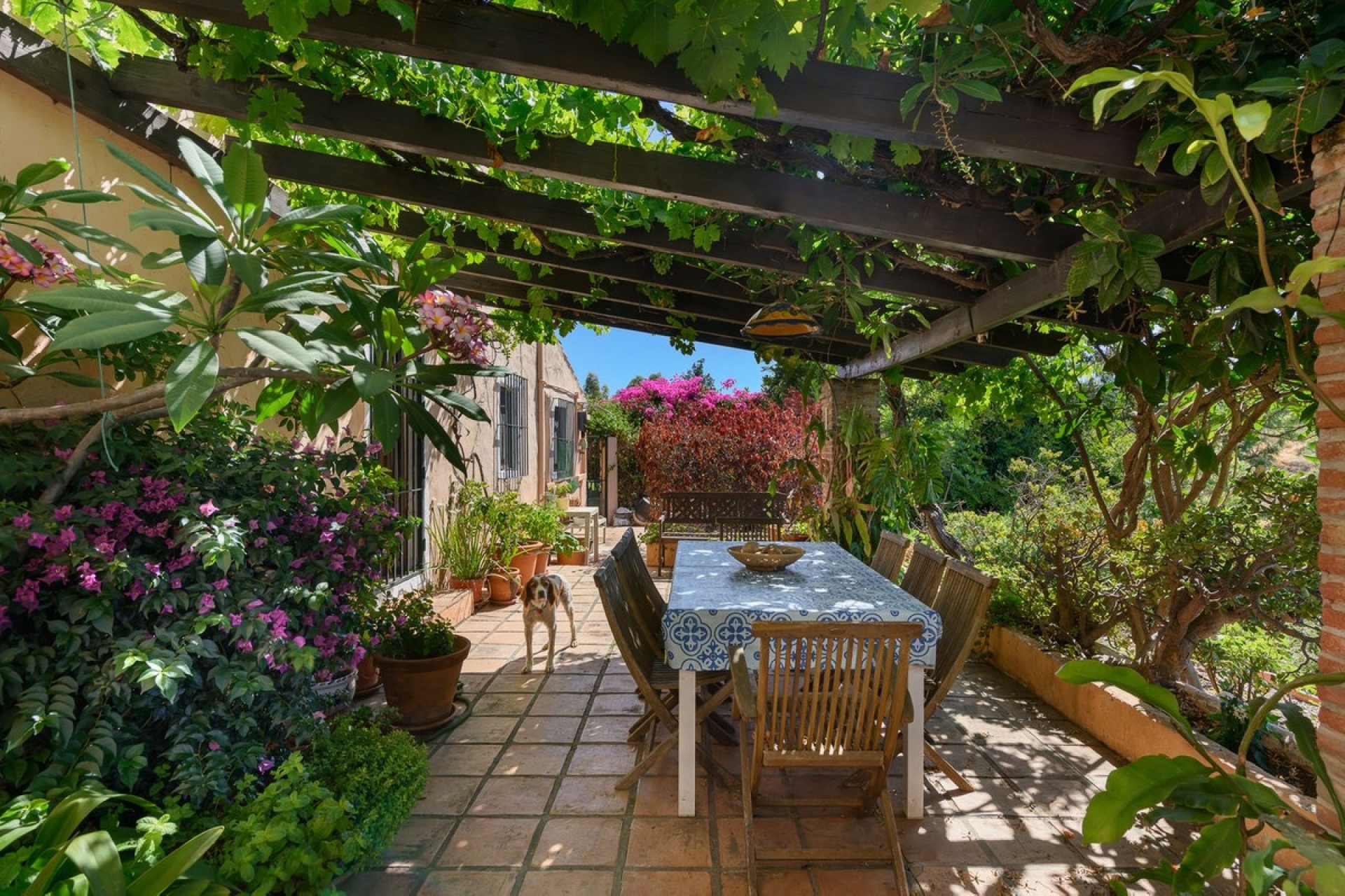 Wiederverkauf - Villa - Estepona - Estepona Centro