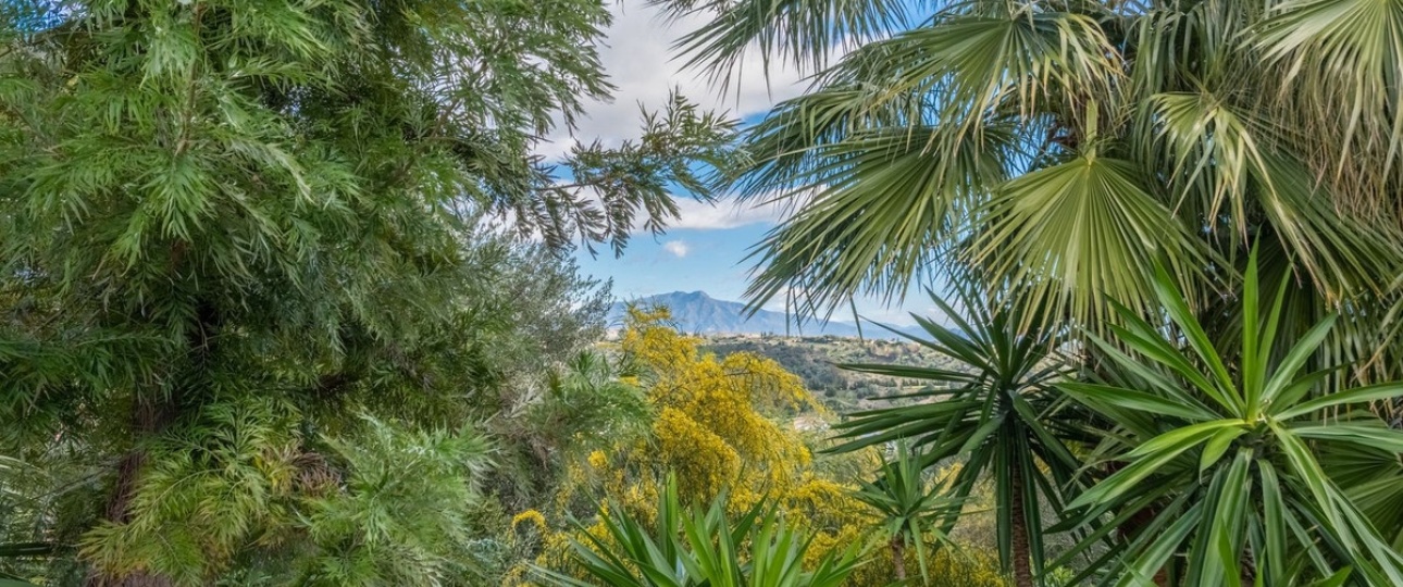Wiederverkauf - Villa - Estepona - Estepona Centro