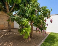 Wiederverkauf - Villa - Estepona - Estepona Centro
