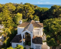 Wiederverkauf - Villa - Estepona - New Golden Mile