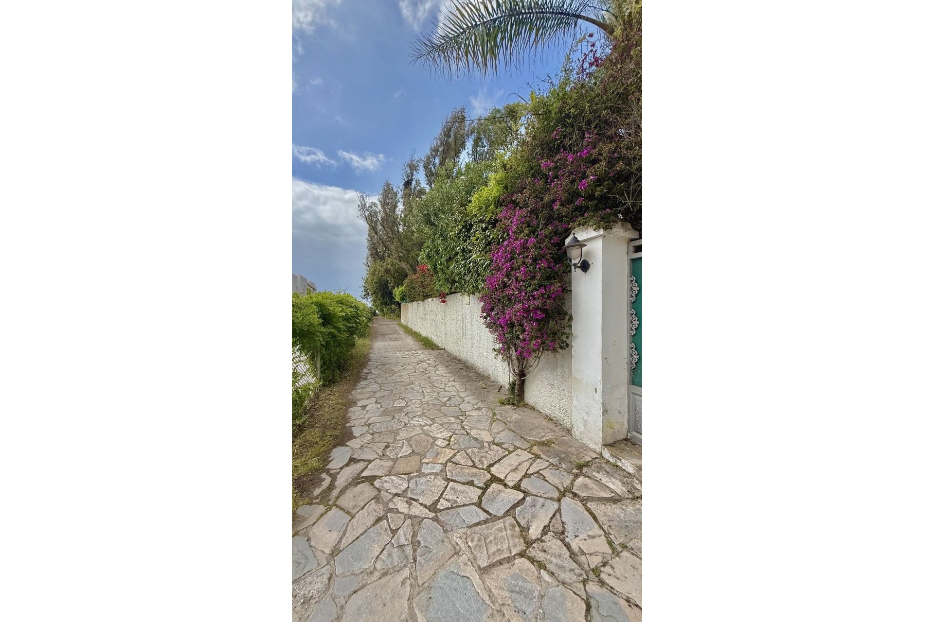 Wiederverkauf - Villa - Estepona - New Golden Mile