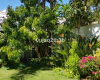 Wiederverkauf - Villa - Estepona - New Golden Mile