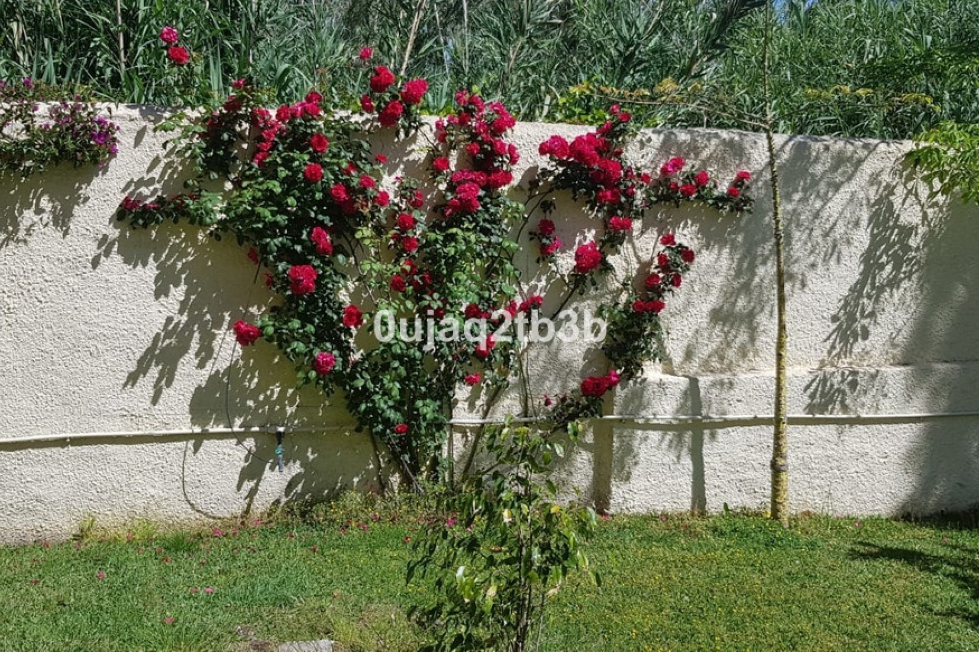 Wiederverkauf - Villa - Estepona - New Golden Mile
