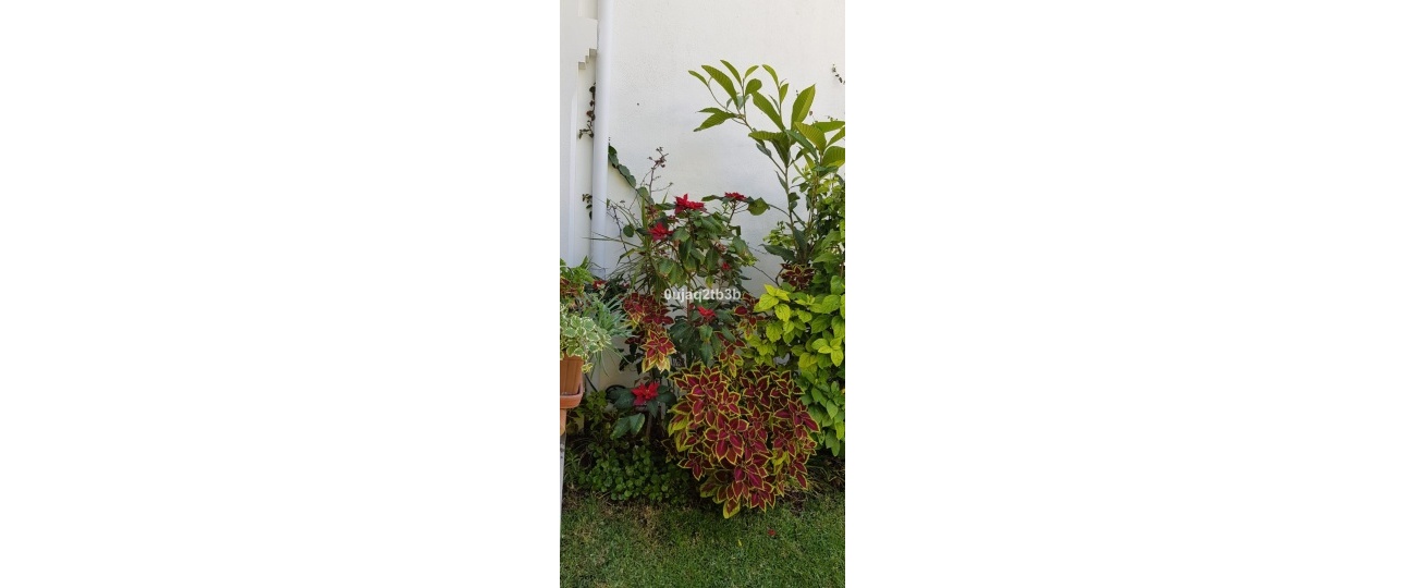 Wiederverkauf - Villa - Estepona - New Golden Mile