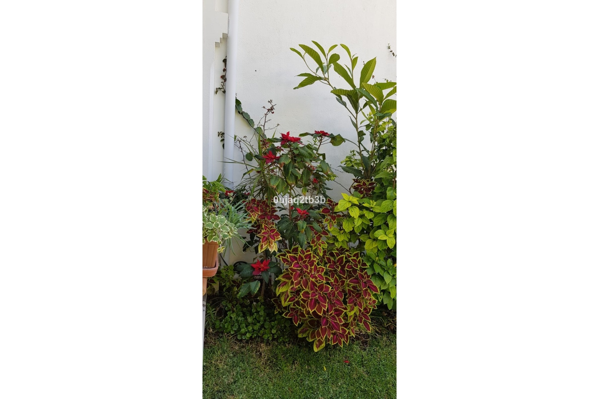 Wiederverkauf - Villa - Estepona - New Golden Mile