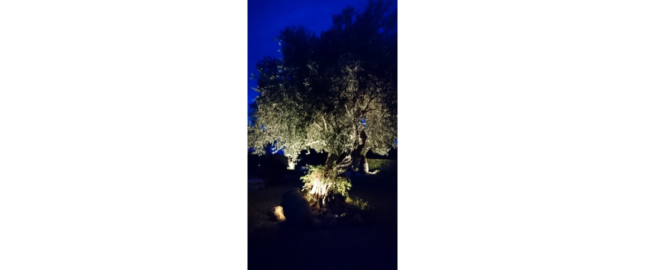Wiederverkauf - Villa - Jávea - Xàbia - Jávea - Xàbia Centro