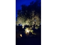 Wiederverkauf - Villa - Jávea - Xàbia - Jávea - Xàbia Centro