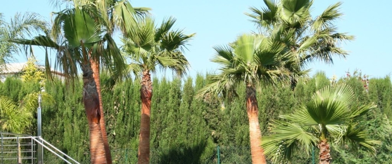 Wiederverkauf - Villa - Jávea - Xàbia - Jávea - Xàbia Centro
