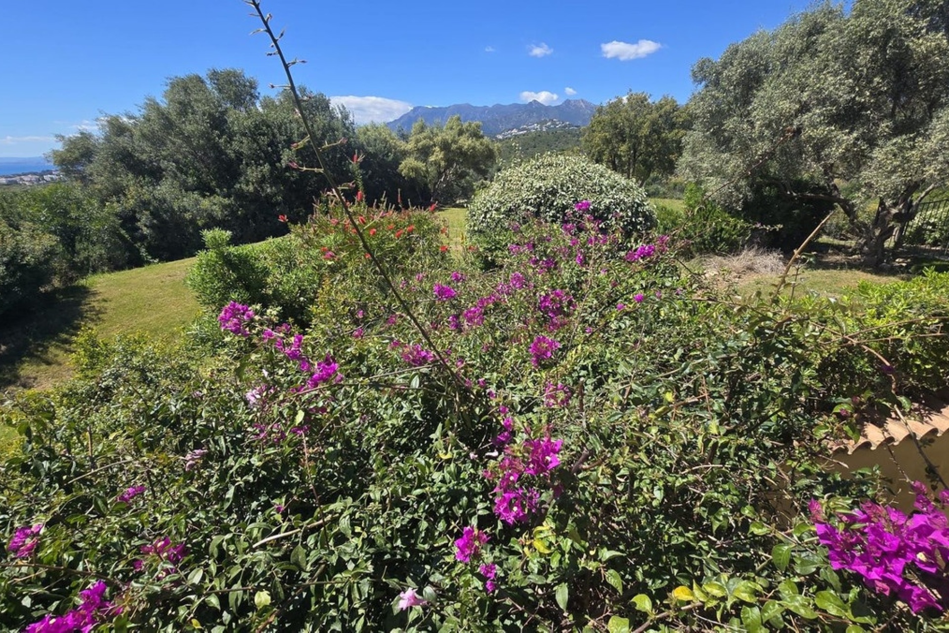 Wiederverkauf - Villa - Marbella - El Rosario
