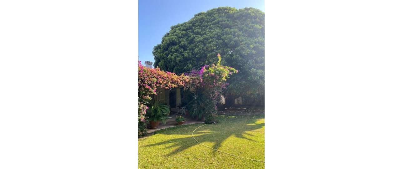 Wiederverkauf - Villa - Marbella - Guadalmina Baja