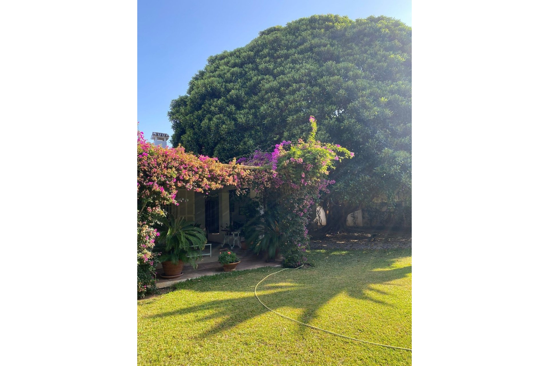Wiederverkauf - Villa - Marbella - Guadalmina Baja