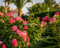 Wiederverkauf - Villa - Marbella - Hacienda Las Chapas