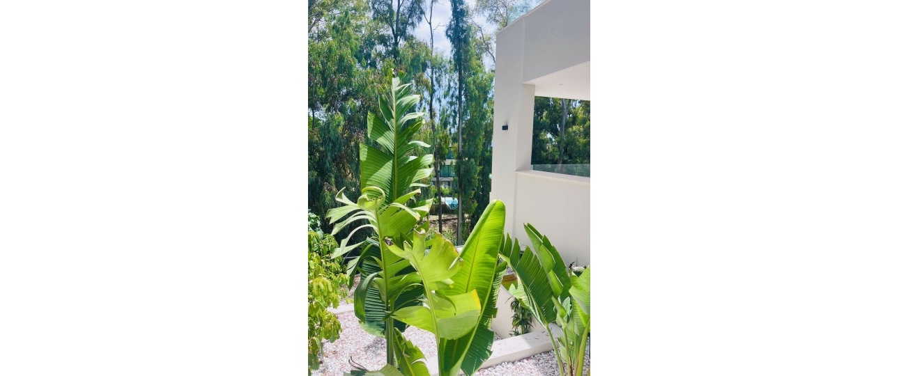 Wiederverkauf - Villa - Marbella - Nueva Andalucía