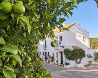 Wiederverkauf - Villa - Marbella - Nueva Andalucía