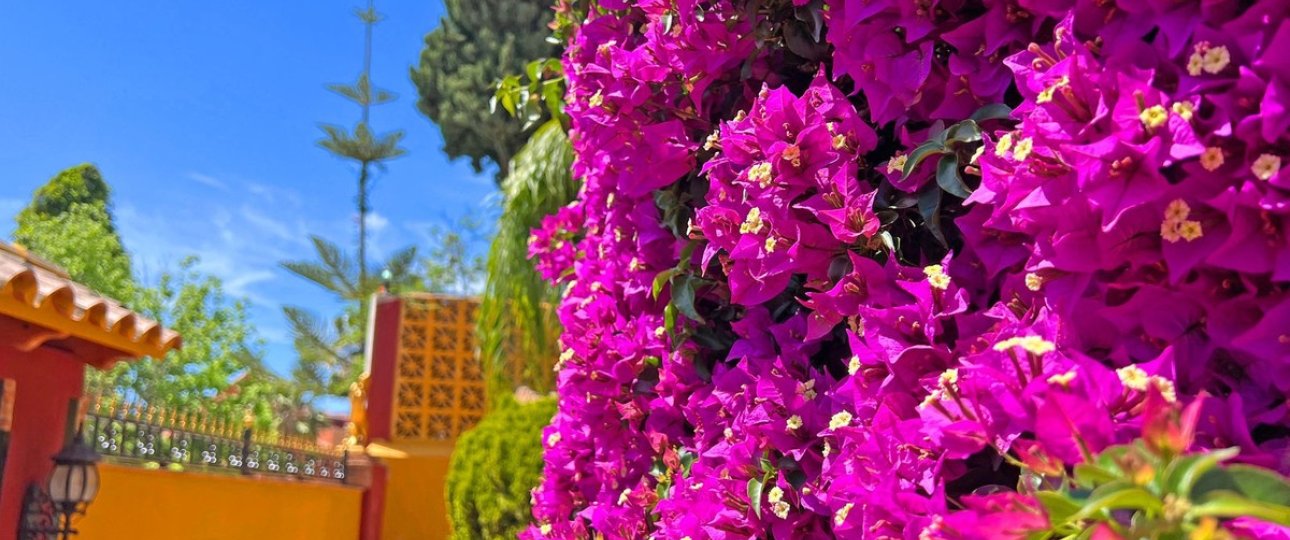 Wiederverkauf - Villa - Marbella - Reserva de Marbella