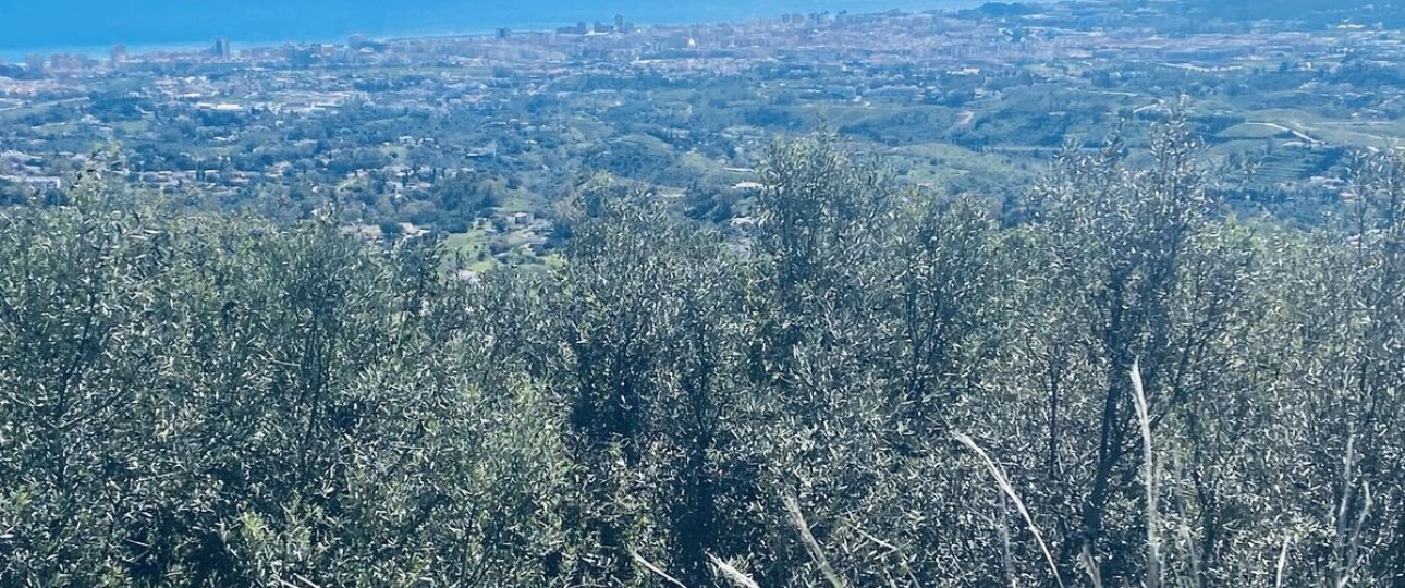 Wiederverkauf - Villa - Mijas - Valtocado