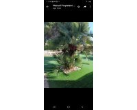Wiederverkauf - Villa - Orihuela - Campoamor